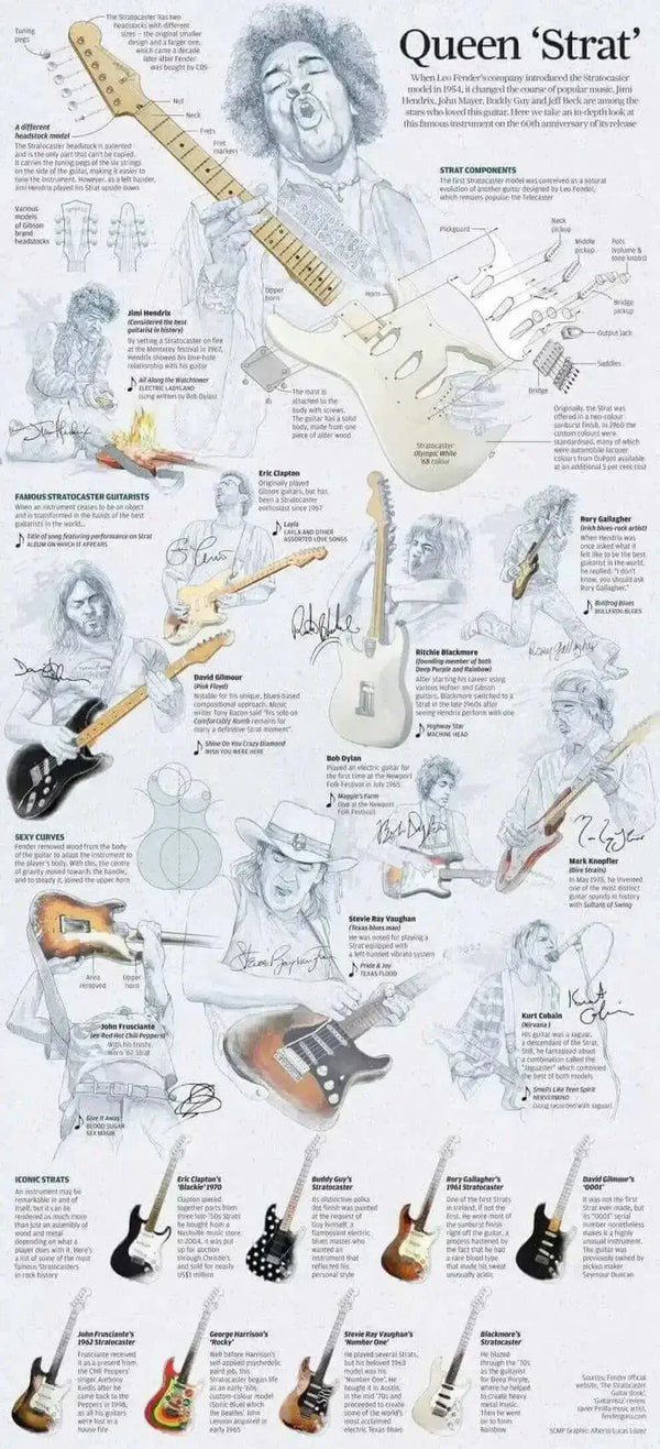 Image Explaining The components or Anatomy of electric guitar