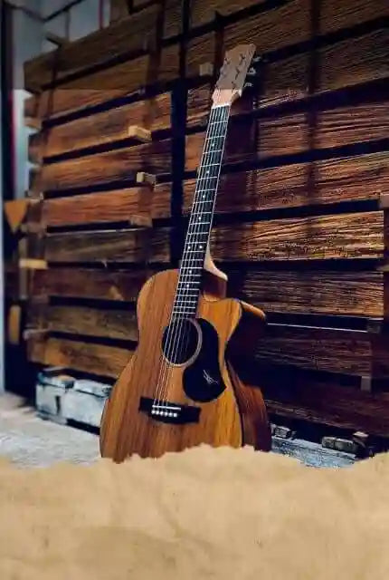 Maton acoustic